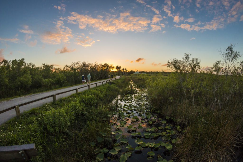 Everglades National Park is just one of the many attractions in and around Homestead for you to enjoy.