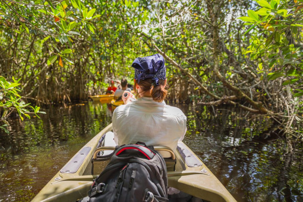 Tourist kayaking in mangrove forest in Homestead, Florida, USA