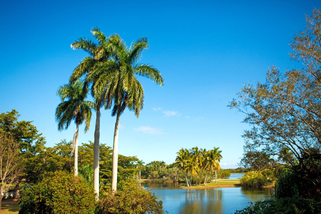Royal Palms State Park in Homestead Florida.
